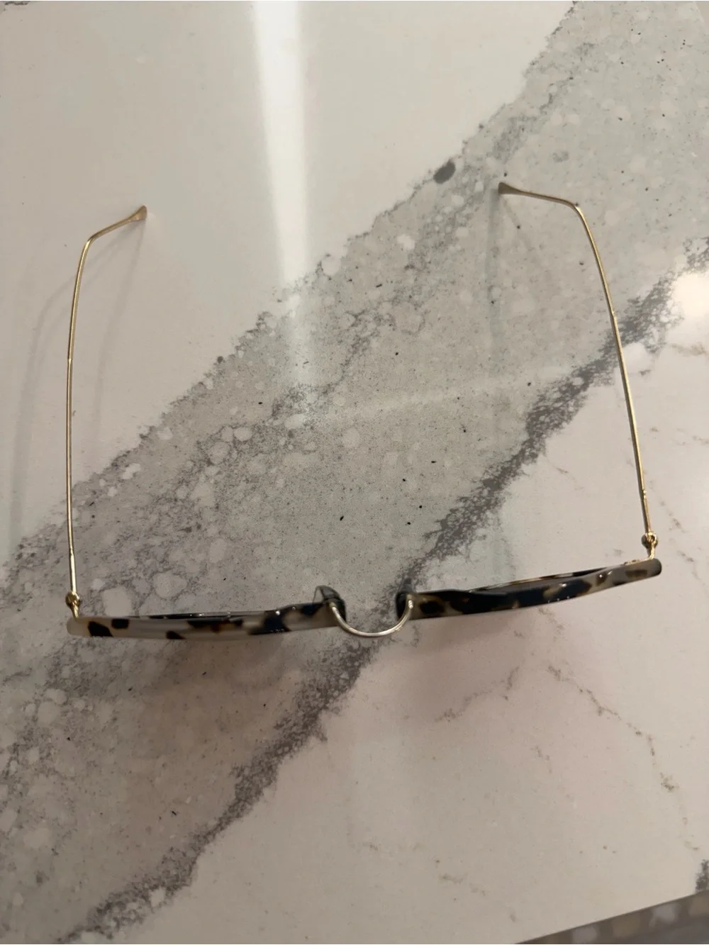 Illesteva Tortoise Frame Sunglasses with Rose Lenses